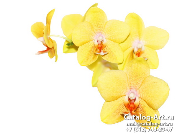 Натяжные потолки с фотопечатью - Желтые и бежевые орхидеи 5